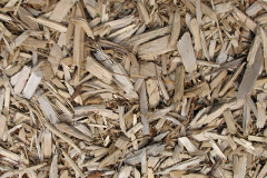 biomass boilers Penydre